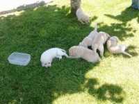 /album/fotos-recentes-/fotos-078-jpg/